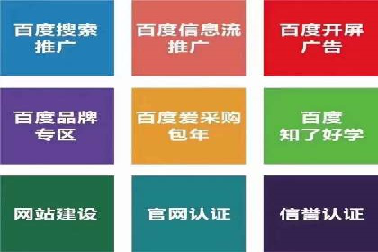 揭秘SEM竞价成功案例，助你提升ROI